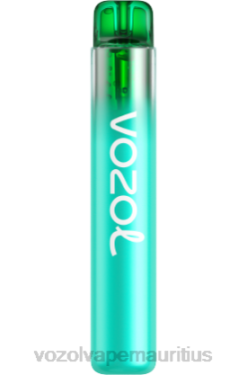 VOZOL Bulk Buy - VOZOL NEON 800 BLUE MOJITO 24PH264