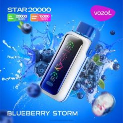 VOZOL Bulk Buy - VOZOL STAR 20000 BLUEBERRY STORM 24PH400