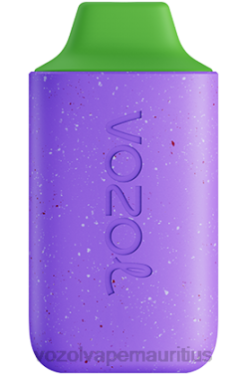 VOZOL Bulk Buy - VOZOL STAR 6000 ENERGY BLAST 24PH112