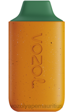 VOZOL Bulk Buy - VOZOL STAR 6000 MANGO PEACH WATERMELON 24PH120