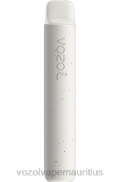 VOZOL Bulk Buy - VOZOL STAR 600 FRESH MENTHOL MOJITO 24PH80