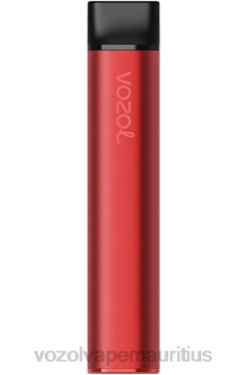 VOZOL Bulk Buy - VOZOL SWITCH 600 CRANBERRY ICE 24PH224