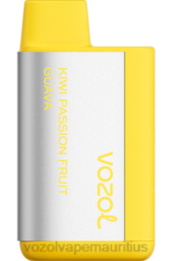 VOZOL Bulk Buy - VOZOL TIGO 600 KIWI PASSION FRUIT GUAVA 24PH368