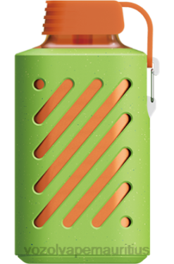 VOZOL Disposable Pods - VOZOL GEAR 10000 PEACH MANGO WATERMEION 24PH303