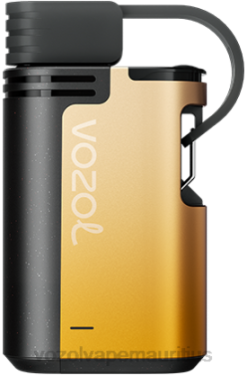 VOZOL Disposable Pods - VOZOL GEAR 4000C/6000 MANGO PASSION FRUIT 24PH327