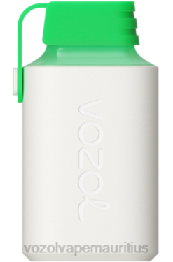 VOZOL Disposable Pods - VOZOL GEAR 600 WATERMELON ICE 24PH359
