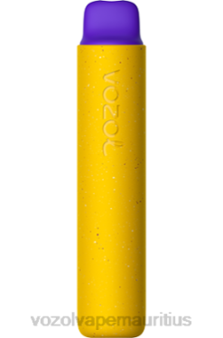 VOZOL Disposable Pods - VOZOL STAR 2000 MANGO ICE 24PH159