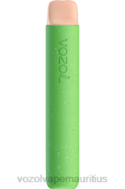 VOZOL Disposable Pods - VOZOL STAR 600 LEMON RASPBERRY WATERMELON 24PH87