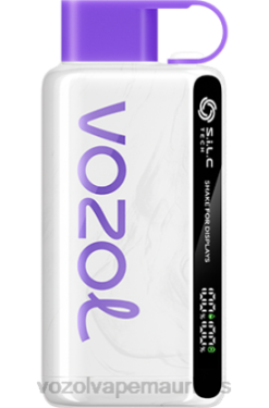 VOZOL Disposable Pods - VOZOL STAR 9000/12000 CRANBERRY MANGO GRAPEFRUIT 24PH39