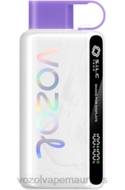 VOZOL Disposable Pods - VOZOL STAR 9000/12000 RAINBOW CANDY 24PH47