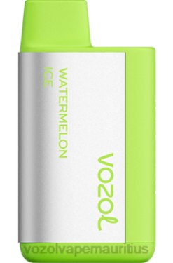 VOZOL Disposable Pods - VOZOL TIGO 600 WATERMELON ICE 24PH375