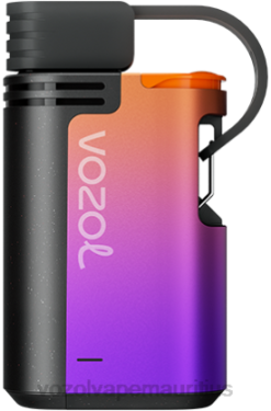 VOZOL Disposable Vape Wholesale - VOZOL GEAR 4000C/6000 GRAPE ICE 24PH325