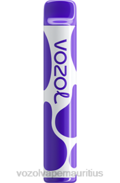 VOZOL Disposable Vape Wholesale - VOZOL JOYGO 600 GRAPE ICE 24PH381