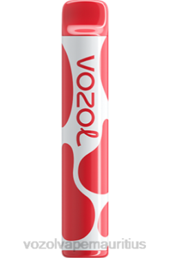 VOZOL Disposable Vape Wholesale - VOZOL JOYGO 600 PEACH ICE 24PH389