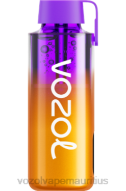 VOZOL Disposable Vape Wholesale - VOZOL NEON 10000 LEMON LIME 24PH245