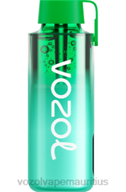 VOZOL Disposable Vape Wholesale - VOZOL NEON 10000 MIAMI MINT 24PH229