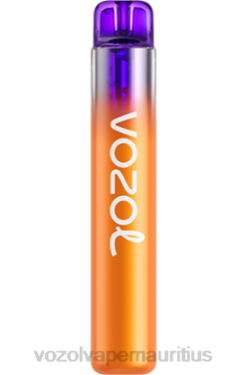 VOZOL Disposable Vape Wholesale - VOZOL NEON 800 PEACH MANGO WATERMELON 24PH253