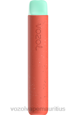 VOZOL Disposable Vape Wholesale - VOZOL STAR 600 STRAWBERRY APPLE 24PH93