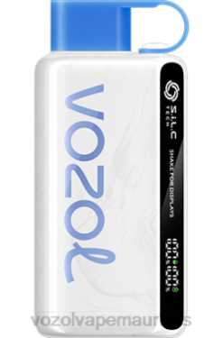 VOZOL Disposable Vape Wholesale - VOZOL STAR 9000/12000 BLUE RAZZ ICE 24PH21
