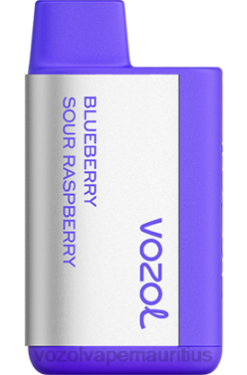 VOZOL Disposable Vape Wholesale - VOZOL TIGO 600 BLUEBERRY SOUR RASPBERRY 24PH365
