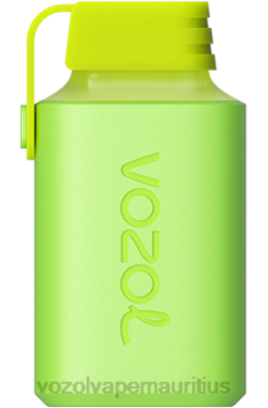 VOZOL Mauritius - VOZOL GEAR 600 APPLE PEACH 24PH345