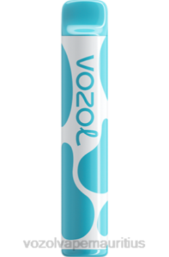 VOZOL Mauritius - VOZOL JOYGO 600 BLUEBERRY SOUR RASPBERRY 24PH377