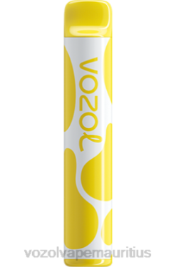 VOZOL Mauritius - VOZOL JOYGO 600 VANILLA CREAM TOBACCO 24PH393