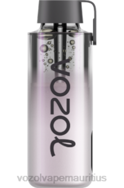 VOZOL Mauritius - VOZOL NEON 10000 COOL MINT 24PH233