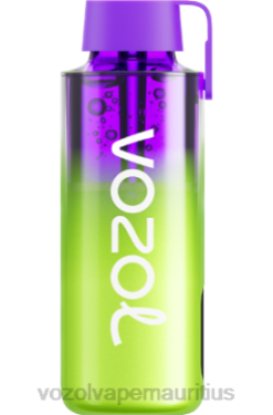 VOZOL Mauritius - VOZOL NEON 10000 WATERMELON ICE 24PH241