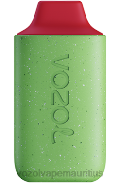 VOZOL Mauritius - VOZOL STAR 6000 FORESTBERRY STORM 24PH113