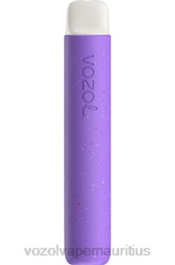 VOZOL Mauritius - VOZOL STAR 600 GRAPE ICE 24PH81
