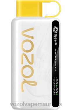 VOZOL Mauritius - VOZOL STAR 9000/12000 KIWI PASSION FRUIT GUAVA 24PH25