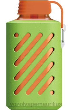 VOZOL Refill Pods - VOZOL GEAR 10000 STRAWBERRY KIWI 24PH310