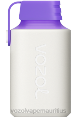 VOZOL Refill Pods - VOZOL GEAR 600 FOREST BERRY ENERGY 24PH350