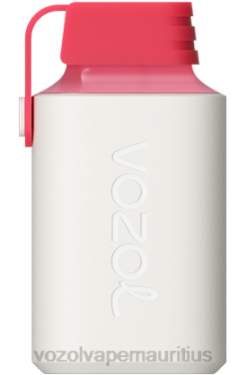 VOZOL Refill Pods - VOZOL GEAR 600 STRAWBERRY RASPBERRY CHERRY 24PH358