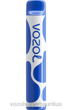 VOZOL Refill Pods - VOZOL JOYGO 600 BLUEBERRY STORM 24PH390
