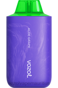 VOZOL Refill Pods - VOZOL STAR 6000/8000 V2 ALOE GRAPE 24PH54