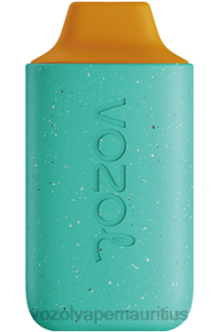 VOZOL Refill Pods - VOZOL STAR 6000 CEDAR POMELO 24PH102