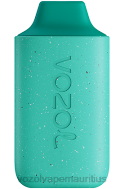 VOZOL Refill Pods - VOZOL STAR 6000 COOL MINT 24PH110