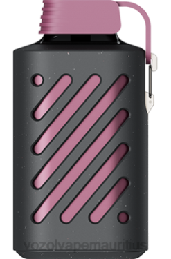 VOZOL Refillable Vape - VOZOL GEAR 10000 PASSION FRUIT RASPBERRY TANGERINE 24PH300