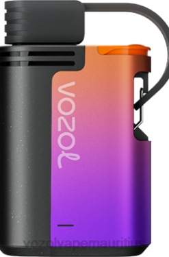 VOZOL Refillable Vape - VOZOL GEAR 4000C/6000 FOREST BERRY STORM 24PH324