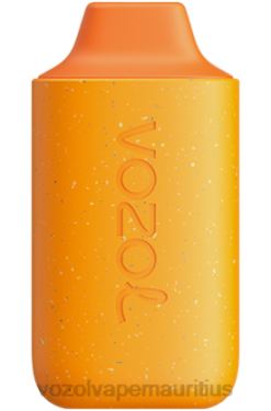 VOZOL Refillable Vape - VOZOL STAR 6000 PUMPKIN LATTE 24PH124