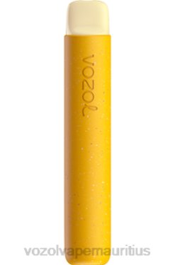 VOZOL Refillable Vape - VOZOL STAR 600 LEMON KIWI PASSION FRUIT 24PH84