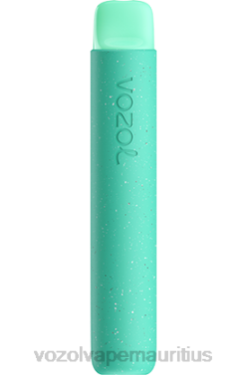 VOZOL Refillable Vape - VOZOL STAR 600 SPEARMINT 24PH92