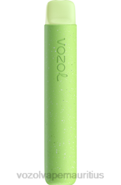 VOZOL Refillable Vape - VOZOL STAR 600 WATERMELON BUBBLE GUM 24PH100