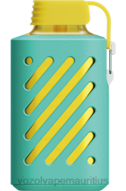 VOZOL Vape Mauritius - VOZOL GEAR 10000 RASPBERRY WATERMELON 24PH306