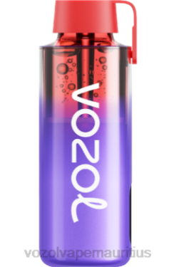 VOZOL Vape Mauritius - VOZOL NEON 10000 BLACKBERRY ICE 24PH242