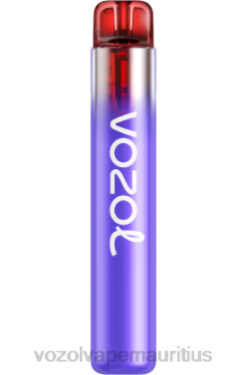 VOZOL Vape Mauritius - VOZOL NEON 800 BLACKBERRY ICE 24PH282