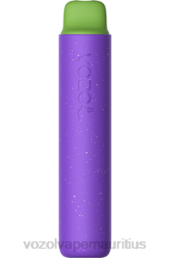 VOZOL Vape Mauritius - VOZOL STAR 2000 GRAPE ICE 24PH154