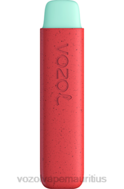 VOZOL Vape Mauritius - VOZOL STAR 550 APPLE PEACH 24PH138